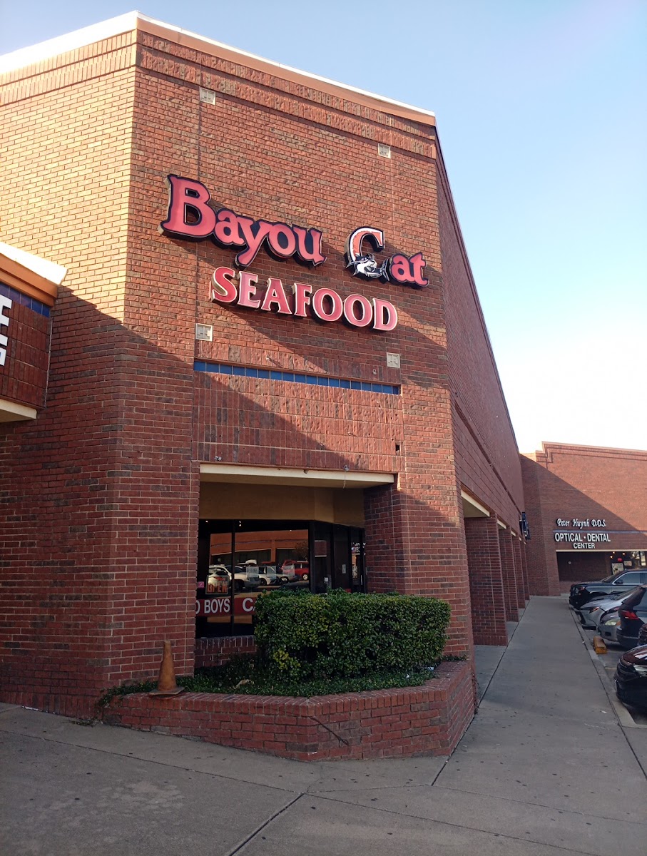 Bayou Cat